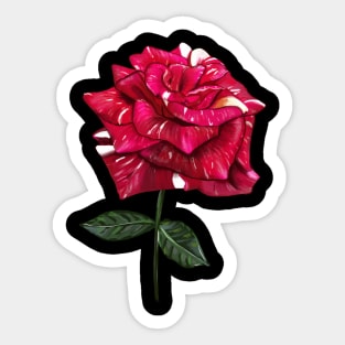 Hand drawn rose Sticker